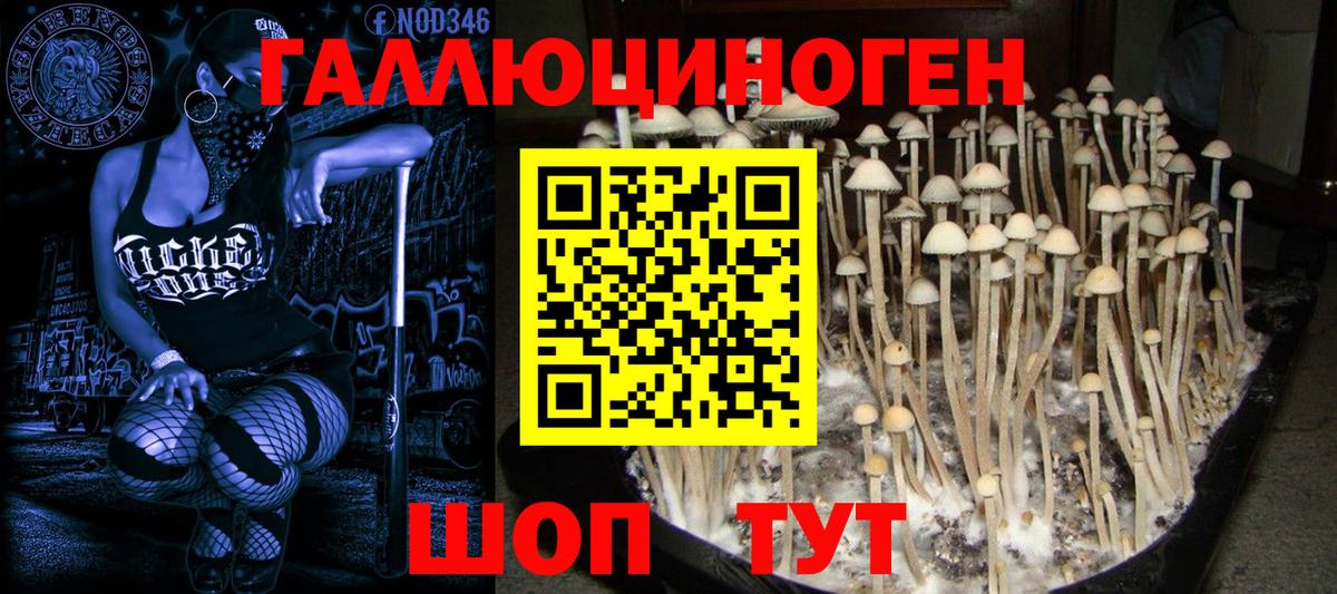 Галлюциногенные грибы прущие грибы Пермь