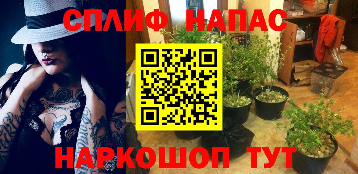 Пермь  Конопля планчик  Марихуана планчик  Вход с VPN  Шишки марихуана конопля 